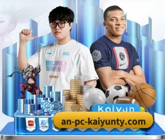 开云体育 APP